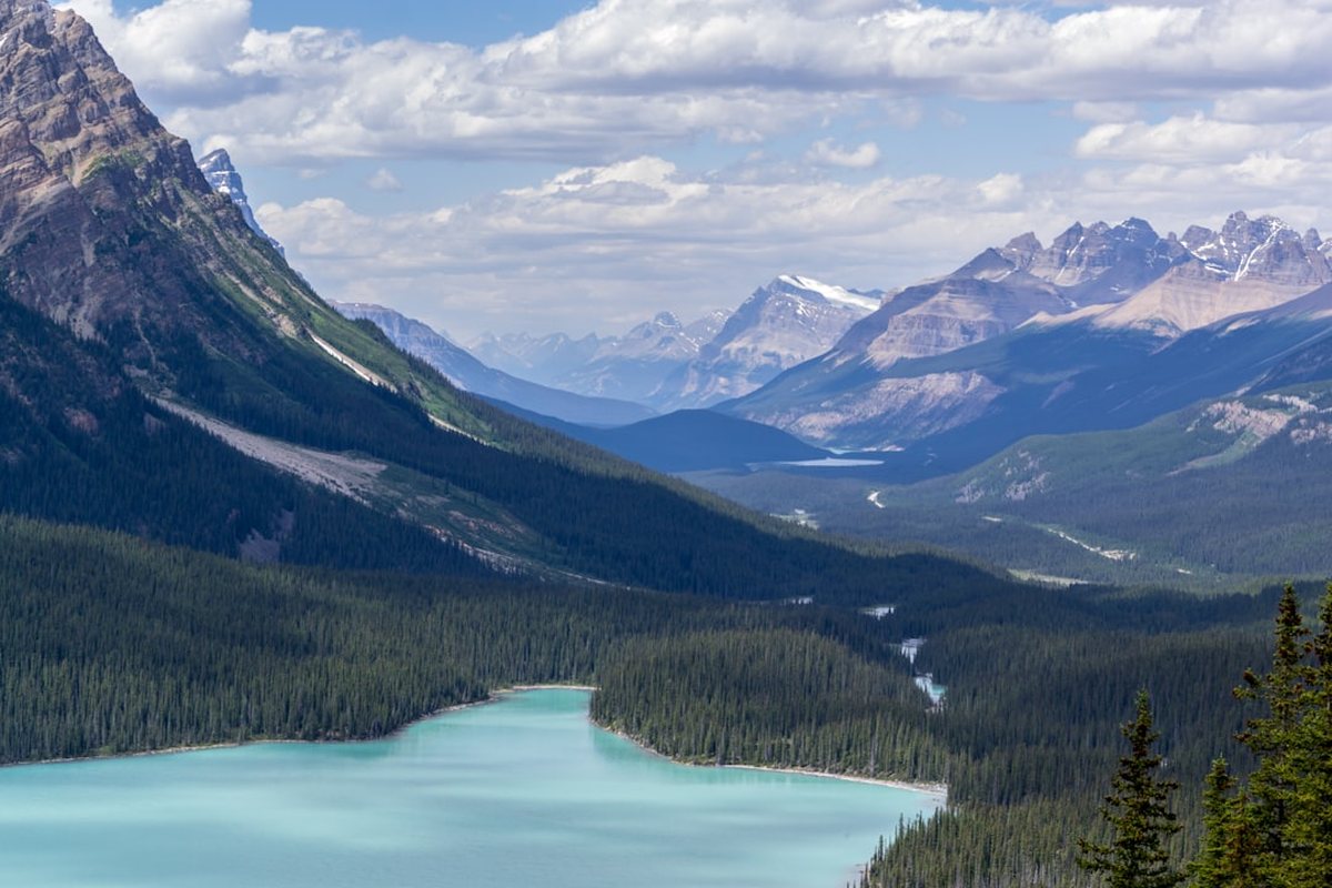 Alberta landscape