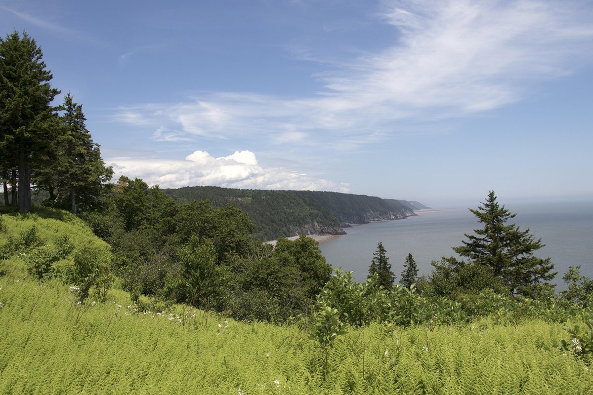 New Brunswick landscape